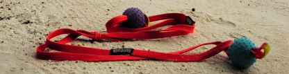 centra-leash Pro - Image 8