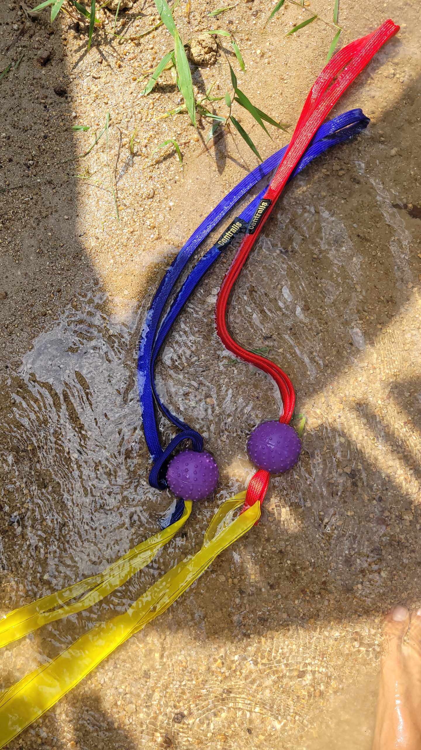 Full-body Centra Leash flow practice using momentum and rotation