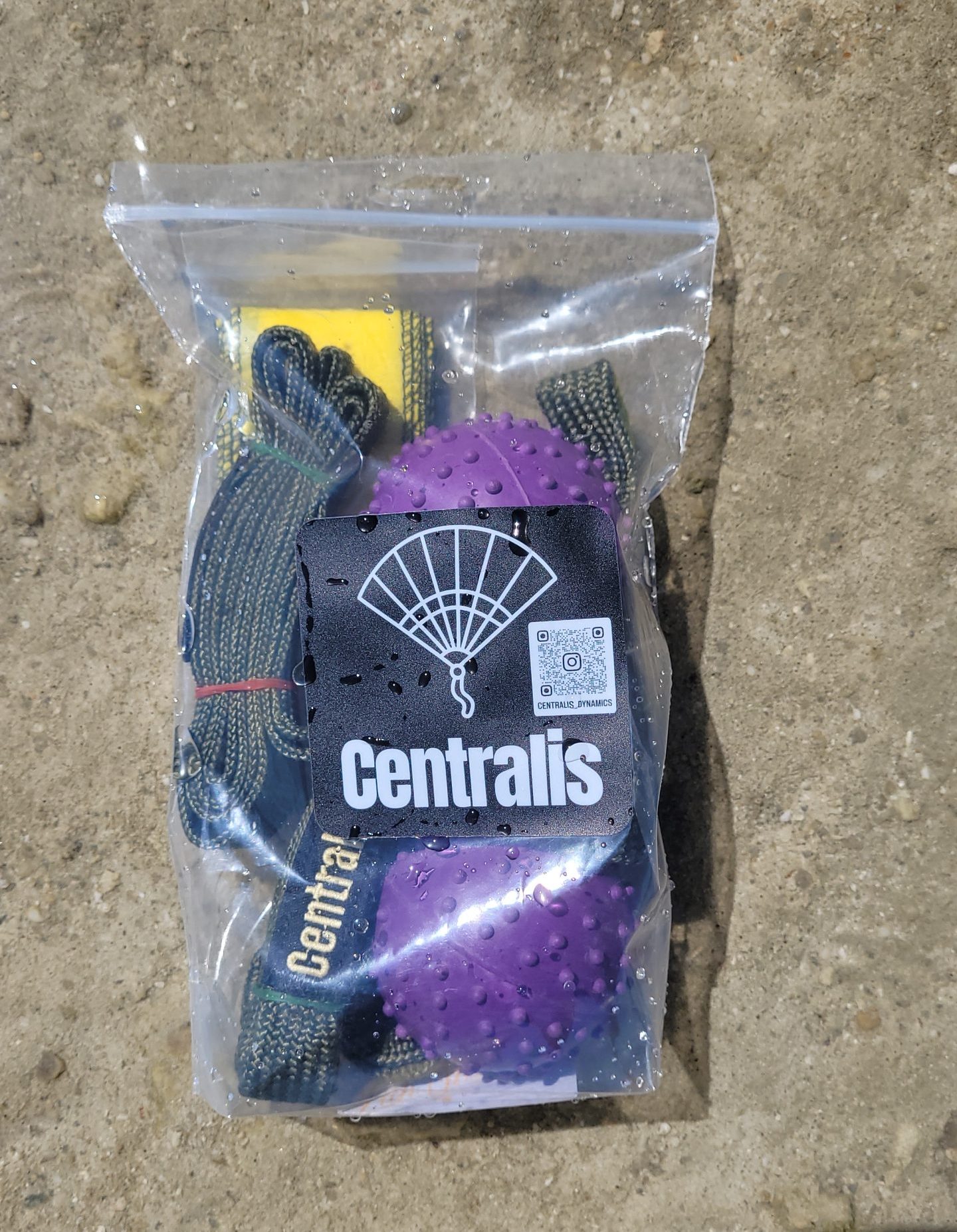 Centra-Leash Pro