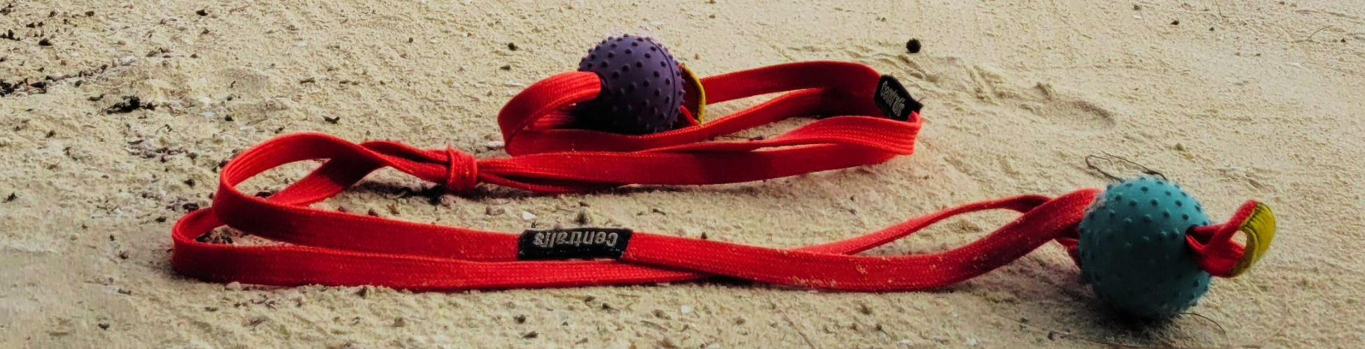 Athlete practicing continuous movement with Centra Leash