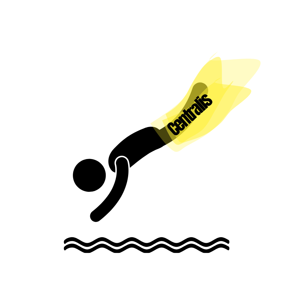AquaQi movement graphic