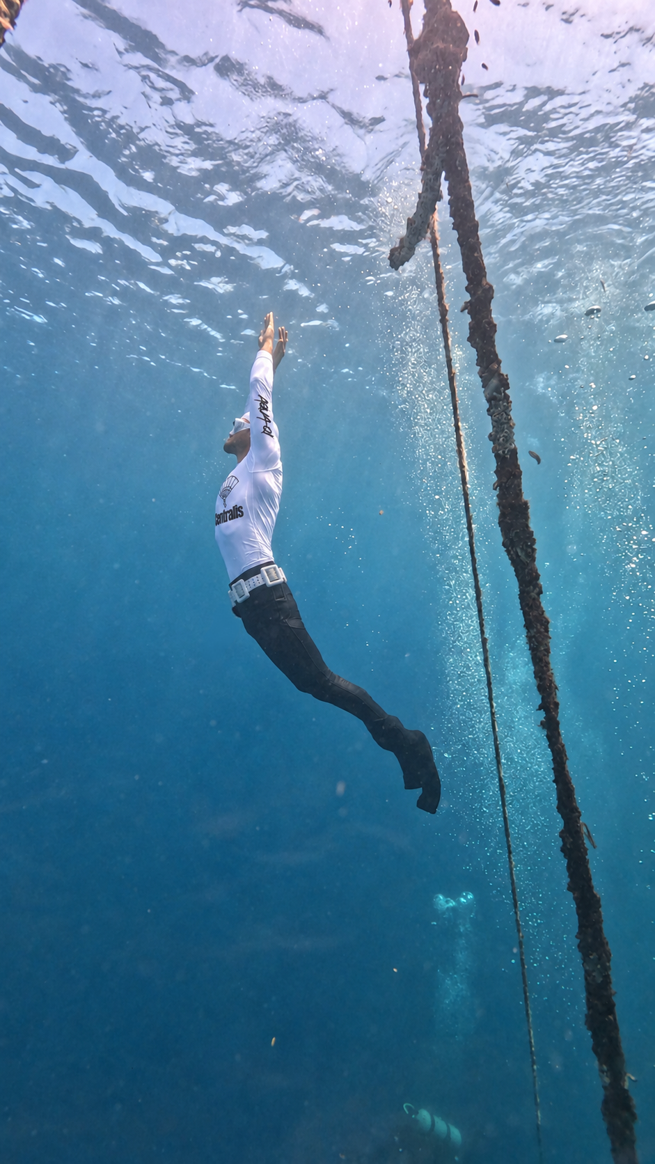 AquaQi freediver ascending beside a mooring rope