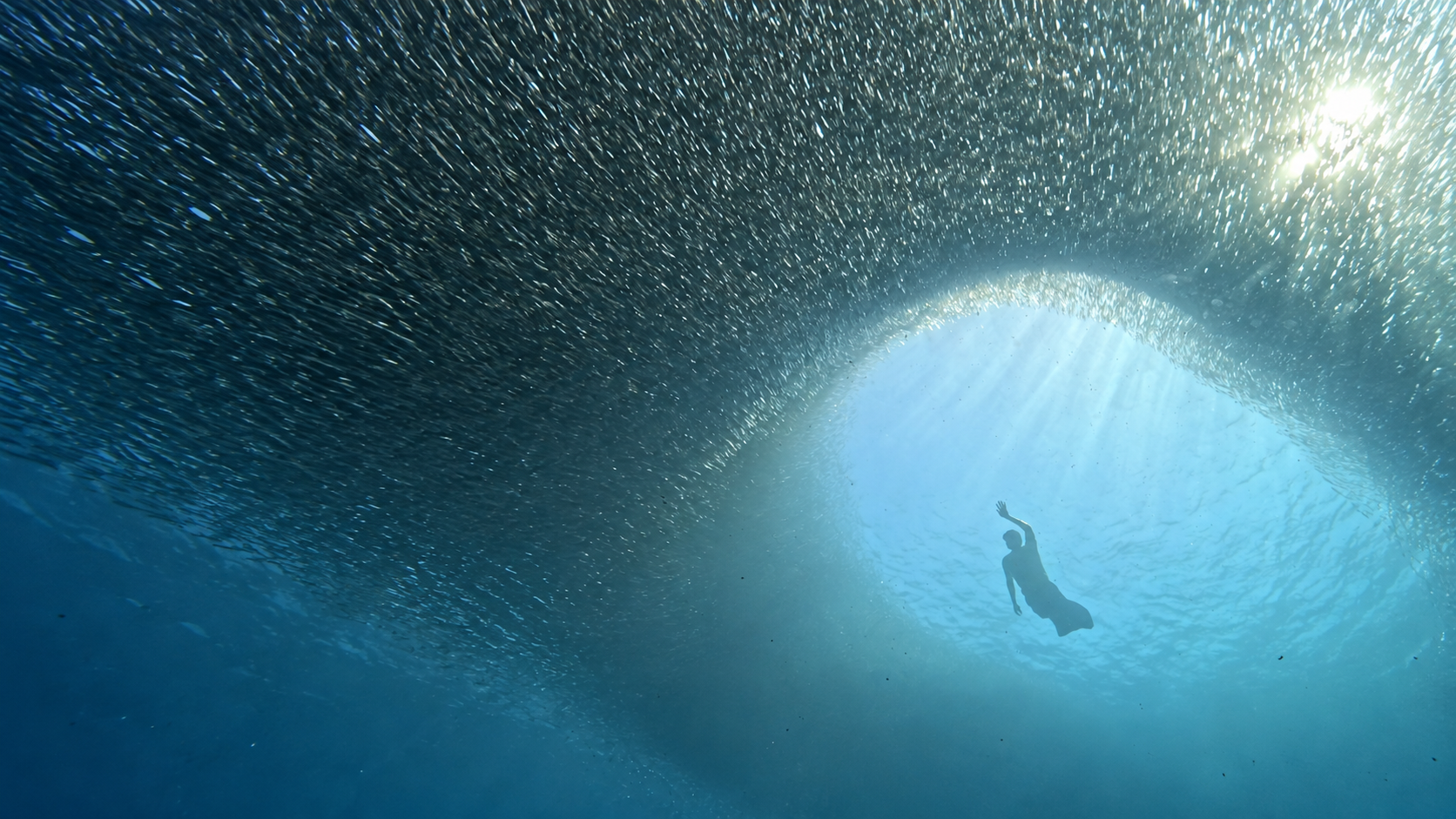 AquaQi freediver underwater